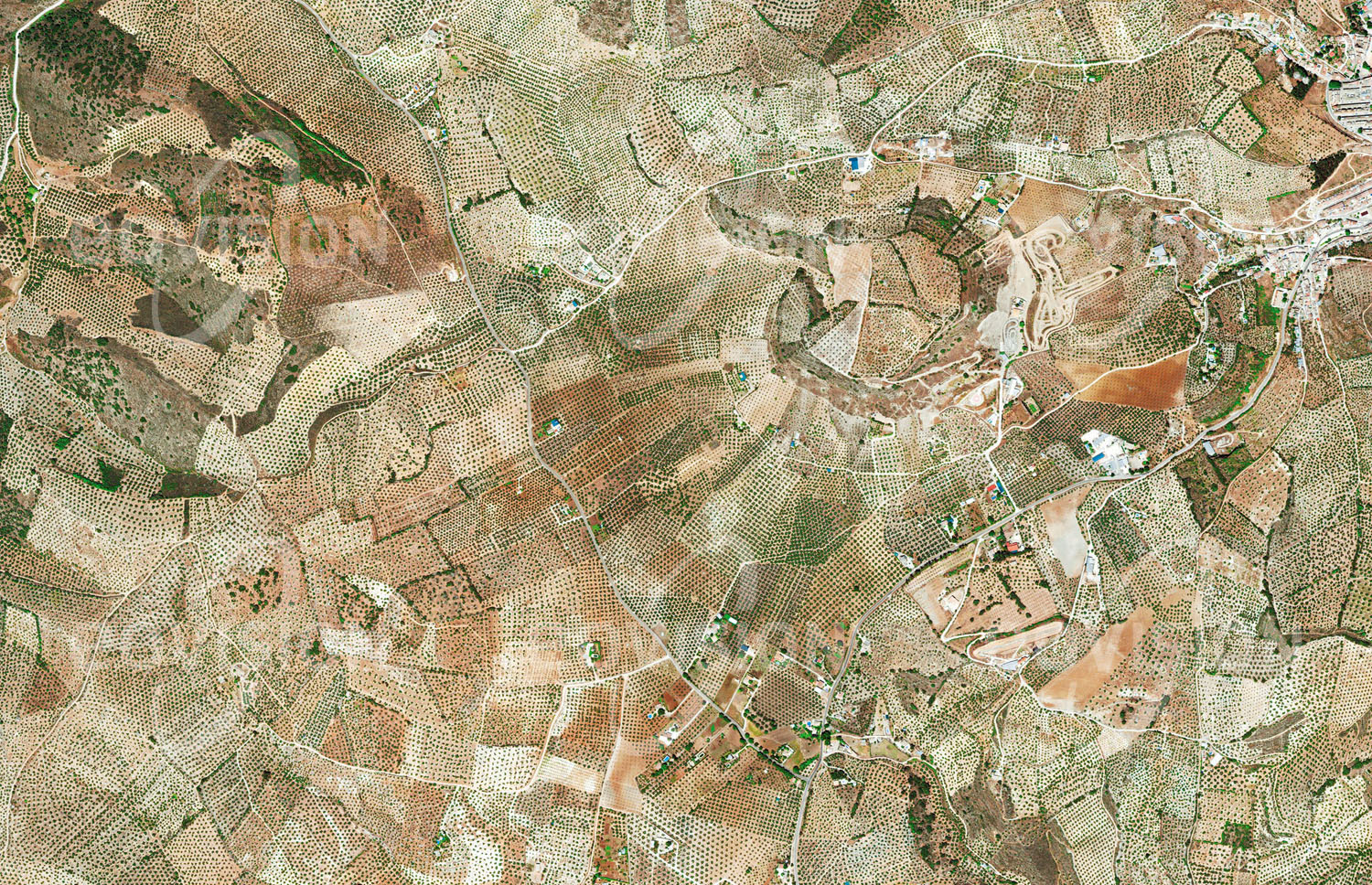 Das Satellitenbild 'PRIEGO DE CÓRDOBA, Spanien' ist dem Bildband "Europa - Kontinent der Vielfalt" entnommen. Ölbäume sind ein sehr altes Element mediterraner Kulturlandschaften: in Syrien und auf Kreta wurden etwa 6000 Jahre alte Spuren ihrer Kultivierung gefunden. Heute ist Spanien mit mehr als einem Viertel der globalen Produktion der weltgrößte Olivenproduzent. In weiten Teilen des Landes sind Oliven das Hauptanbauprodukt und dominieren die Landschaft. n