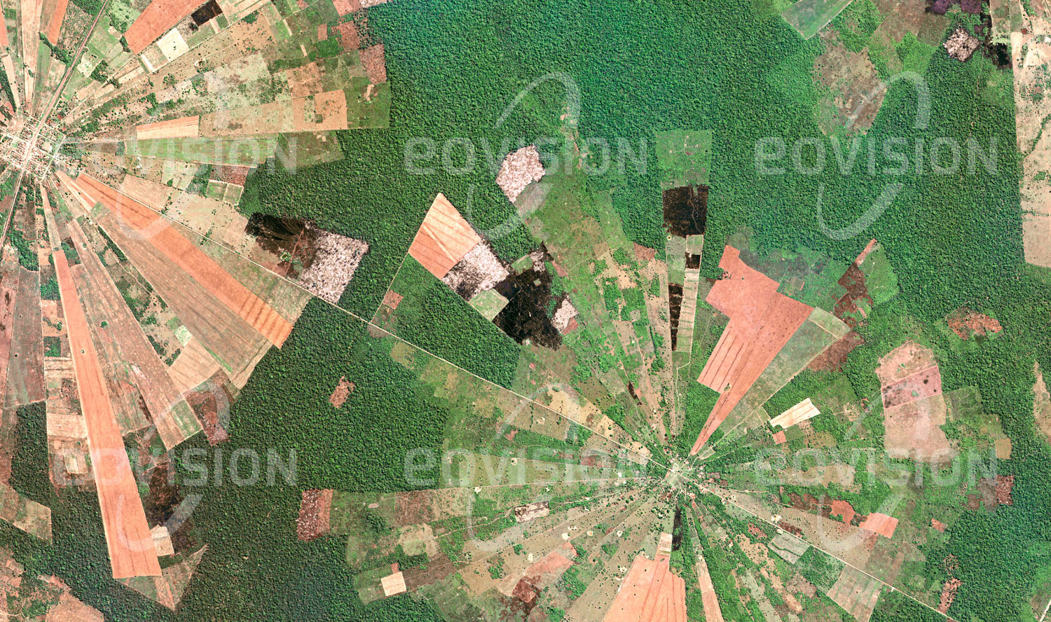 Das Satellitenbild 'SANTA TERESA, Bolivien' ist dem Bildband "Human Footprint - Satellitenbilder dokumentieren menschliches Handeln" entnommen. Seit Mitte der 1980er Jahre wurden im Rah­men des Tierras-Baja-Projekts der bolivia­nischen Regierung Menschen vom Altiplano nach Ostbolivien umgesiedelt. Von den gleich­mäßig angeordneten Dorfzentren ausgehend breiten sich wie hier bei San Julián Rodungs­sektoren in den tropischen Trockenwald aus, auf denen unter anderem Sojabohnen und Sonnenblumen angebaut werden. Das stern­förmige Muster von reifen und geernteten Feldern ist von Urwaldresten umgeben.