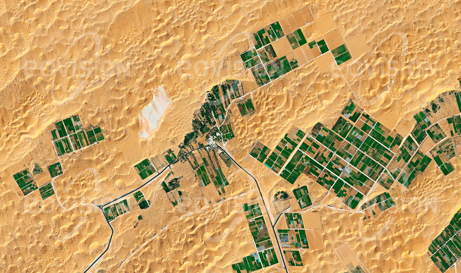 Das Satellitenbild 'MEZAIRAA, Vereinigte Arabische Emirate' ist dem Bildband "Human Footprint - Satellitenbilder dokumentieren menschliches Handeln" entnommen. Ackerbau in der Wüste ist nur mit enormem Aufwand zu betreiben, mit dem die Probleme der Bewässerung, Versalzung, Bodenerosion und Sandanwehungen gelöst werden müssen.