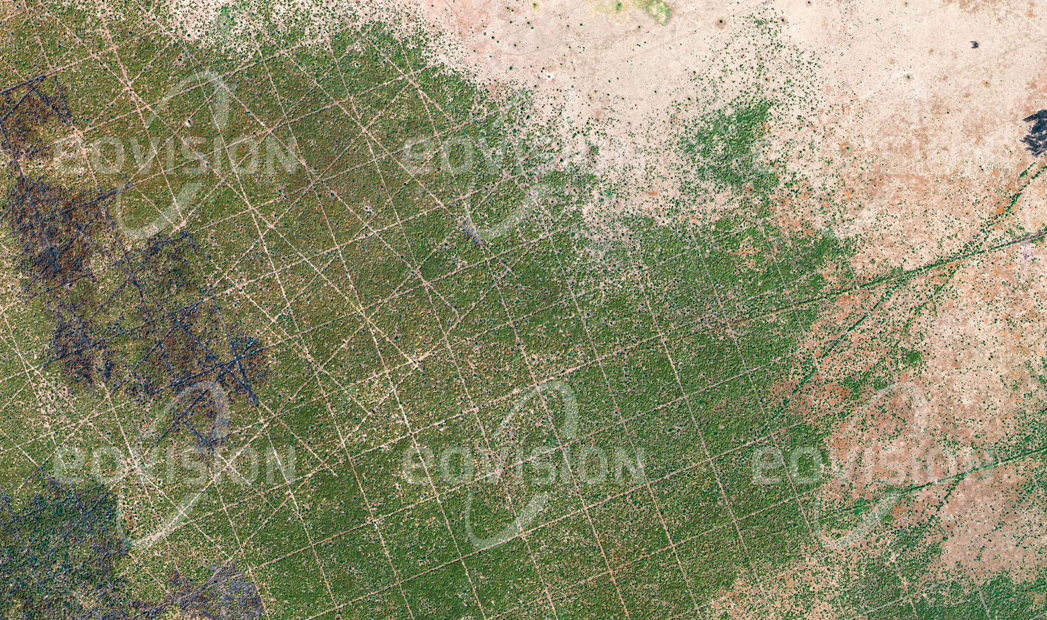 Das Satellitenbild 'BUDANG, Sudan' ist dem Bildband "Human Footprint - Satellitenbilder dokumentieren menschliches Handeln" entnommen. Geometrische Linienraster in der Vegetation zeugen im Süden des Sudans von der Suche nach Erdöl- und Erdgasvorkommen.