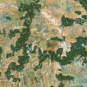 MORELLGANJ , Bangladesch