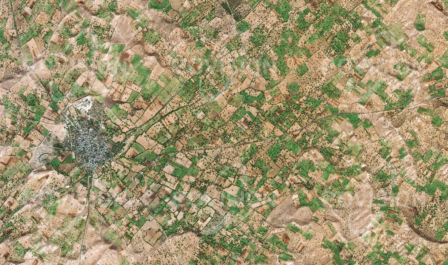 Das Satellitenbild 'PADRU, Indien' ist dem Bildband "Human Footprint - Satellitenbilder dokumentieren menschliches Handeln" entnommen. Rund um die nordwestindische Stadt Padru werden vor allem Getreide, Hülsenfrüchte und Baumwolle angebaut, deren Bewässerung während der Trockenzeit durch künstlich angelegte Becken sichergestellt wird.