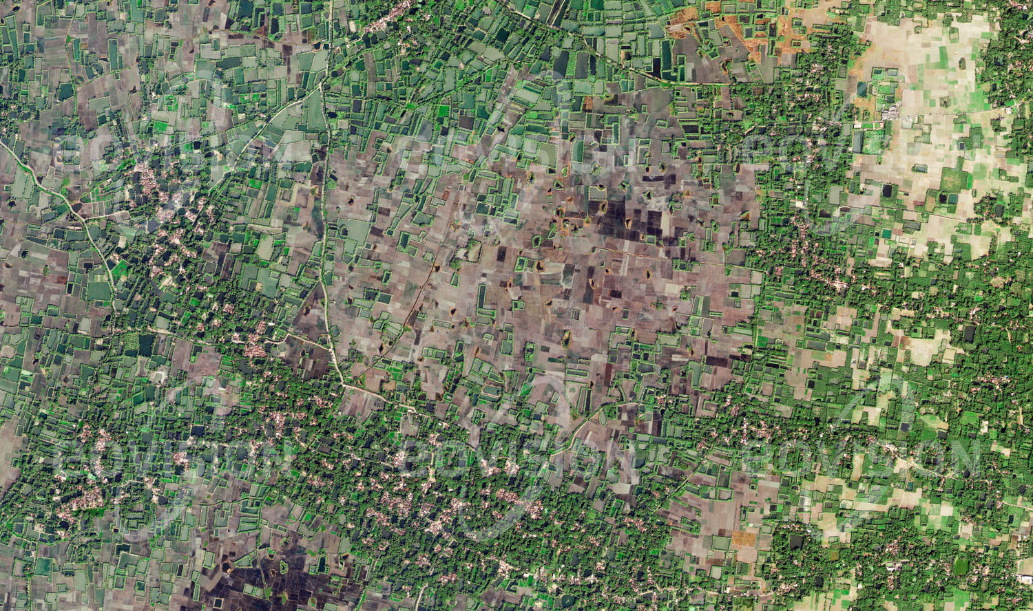 Das Satellitenbild 'RAJPUR, Indien' ist dem Bildband "Human Footprint - Satellitenbilder dokumentieren menschliches Handeln" entnommen. Der starke Monsunregen im Sommer und ein durchdachtes, kleinräumiges System von Bewässerungsfeldern ermöglichen den Bauern der Gangesebene in der Umgebung Kalkuttas reiche Ernten. Die in unmittelbarer Umgebung der Siedlungen angelegten Fischteiche, Obst- und Gemüsegärten werden in größeren Ent­fernungen von Reisfeldern abgelöst.