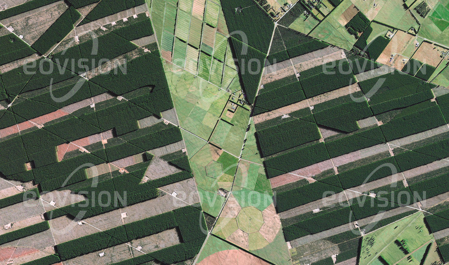 Das Satellitenbild 'CHRISTCHURCH, Neuseeland' ist dem Bildband "Human Footprint - Satellitenbilder dokumentieren menschliches Handeln" entnommen. Durch Unterschiede im Schattenwurf und in der Färbung sind die Altersstufen der Waldbestände in den regelmäßig angelegten Forstplantagen Neuseelands sehr gut erkennbar.