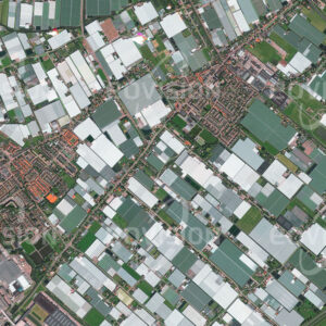 WESTLAND, Niederlande