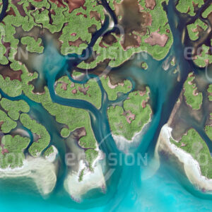 EVERGLADES, USA