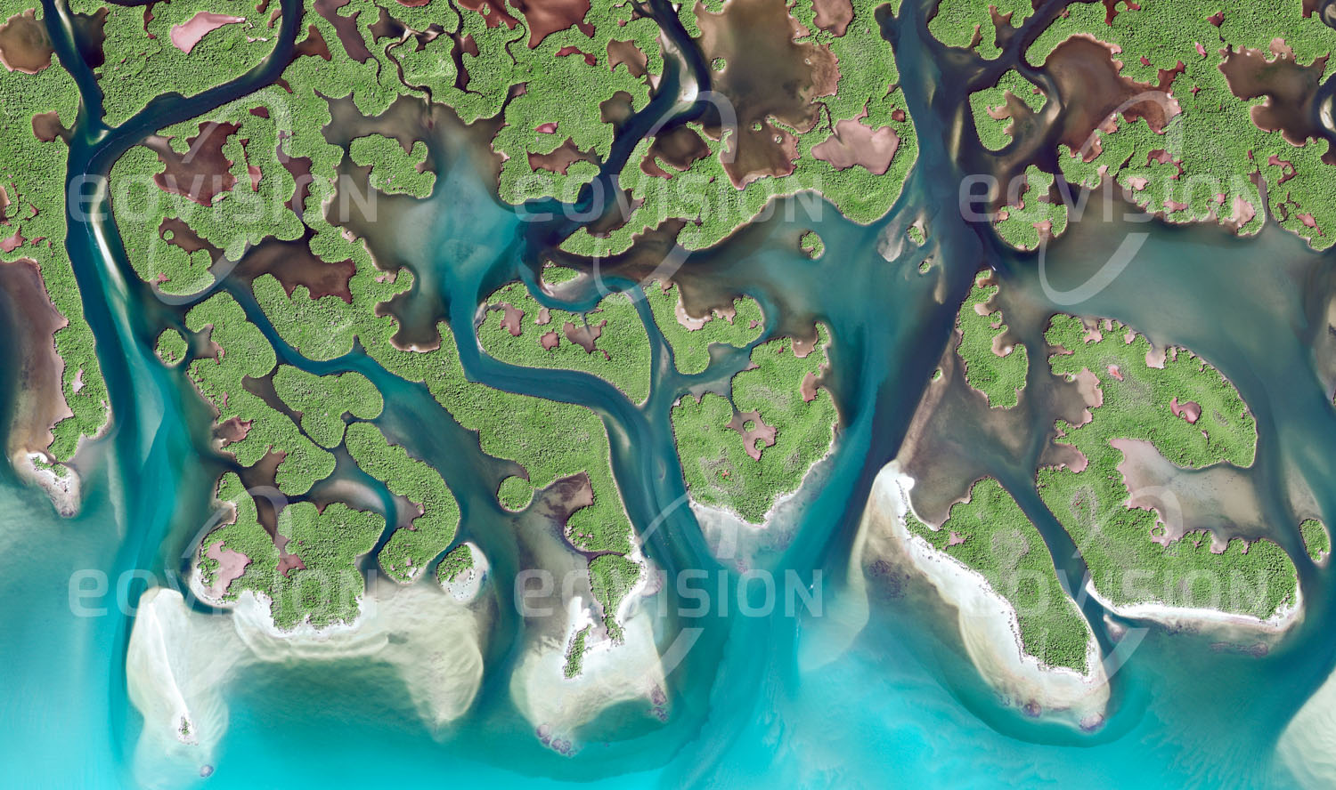 Das Satellitenbild 'EVERGLADES, USA' ist dem Bildband "Untouched Nature - Naturlandschaften in Satellitenbildern" entnommen. Die flachen Sümpfe der Everglades in Florida sind vor allem von Grasflächen bedeckt, an die sich an der Küste zum Golf von Mexiko Mangrovenwälder anschließen. Die Mangroven bilden während der häufig auftretenden Hurrikane einen Schutzgürtel gegen die Erosionskräfte des Meeres. Diese Küstenregion in Florida ist zudem das einzige Gebiet, in dem sowohl Alligatoren als auch Krokodile zu finden sind.