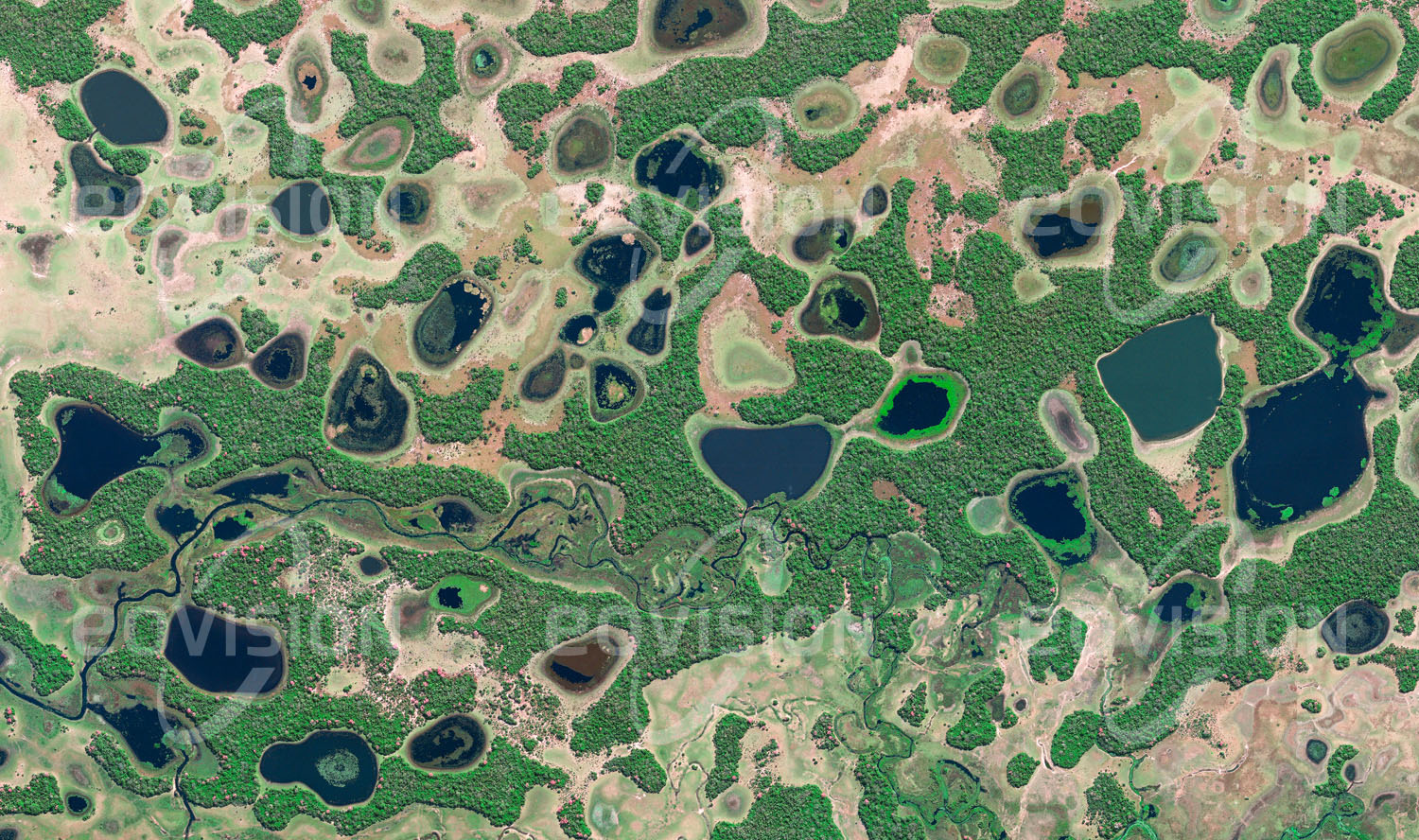 Das Satellitenbild 'PANTANAL DO RIO NEGRO, Brasilien' ist dem Bildband "Untouched Nature - Naturlandschaften in Satellitenbildern" entnommen. Mehr als 650 Vogelarten, aber auch Riesenotter, Jaguare und Kaimane bevölkern das Pantanal. Als eines der weltgrößten Feuchtgebiete ist es durch vermehrte landwirtschaftliche Nutzung gefährdet.