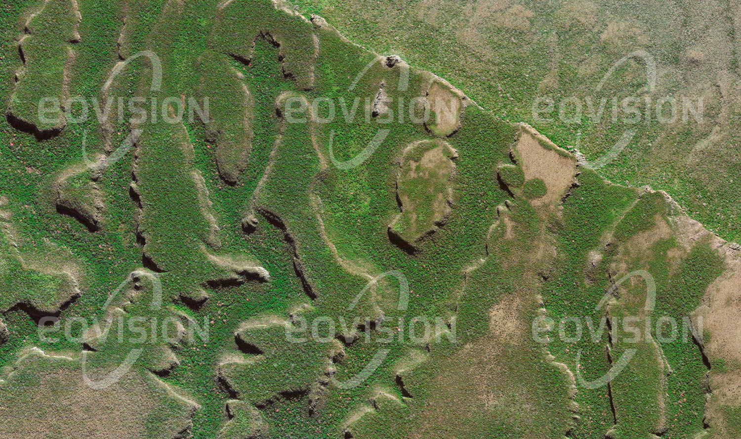 Das Satellitenbild 'SERRANÍAS DE SANTIAGO, Bolivien' ist dem Bildband "Untouched Nature - Naturlandschaften in Satellitenbildern" entnommen. Tropische Savannen und Trockenwälder gedeihen auf dem Untergrund der sanft ansteigenden und nach Norden in einer Klippe zu den Llanos de Chiquitos abfallenden Sandsteinplatte.