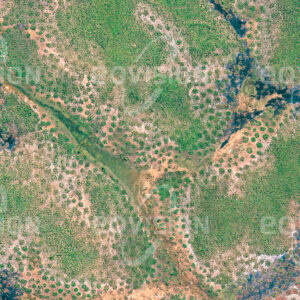 KASUNGU, Malawi