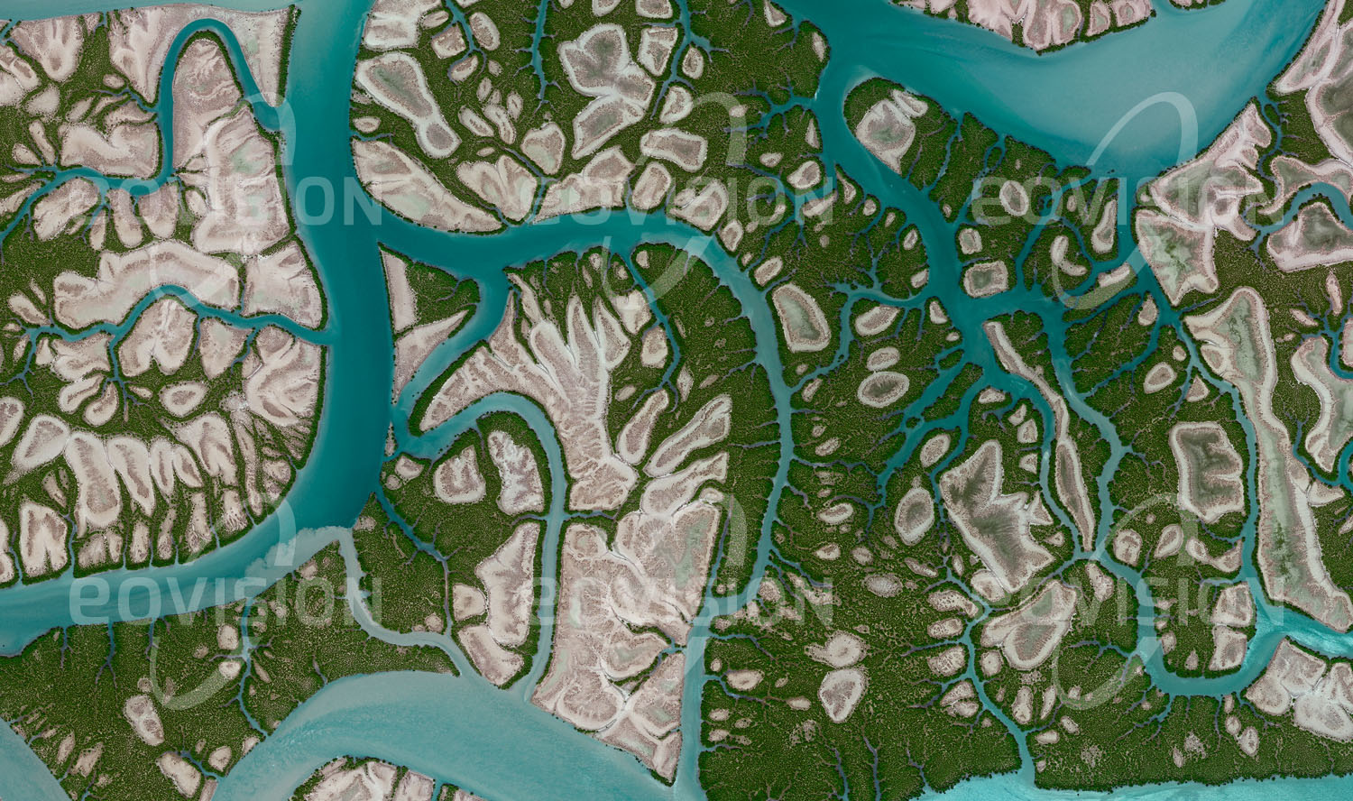 Das Satellitenbild 'QESHM, Iran' ist dem Bildband "Untouched Nature - Naturlandschaften in Satellitenbildern" entnommen. Die Hara-Mangrovenwälder am Nordrand der Insel Qeshm im Persischen Golf sind ein einzigartiger Lebensraum. Sie sind Heimat für Zugvögel und Reptilien wie Meeresschildkröten und Seeschlangen. Die Wälder setzen sich ausschließlich aus Hara-Bäumen zusammen, da diese in der Lage sind, in ihrer Borke das Meerwasser zu entsalzen. Die geschützten Wälder sind unterschiedlichen Einflüssen durch den Menschen ausgesetzt, wie etwa Überweidung, Holzeinschlag und Fischerei.