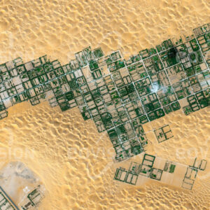 LIWA, Vereinigte Arabische Emirate