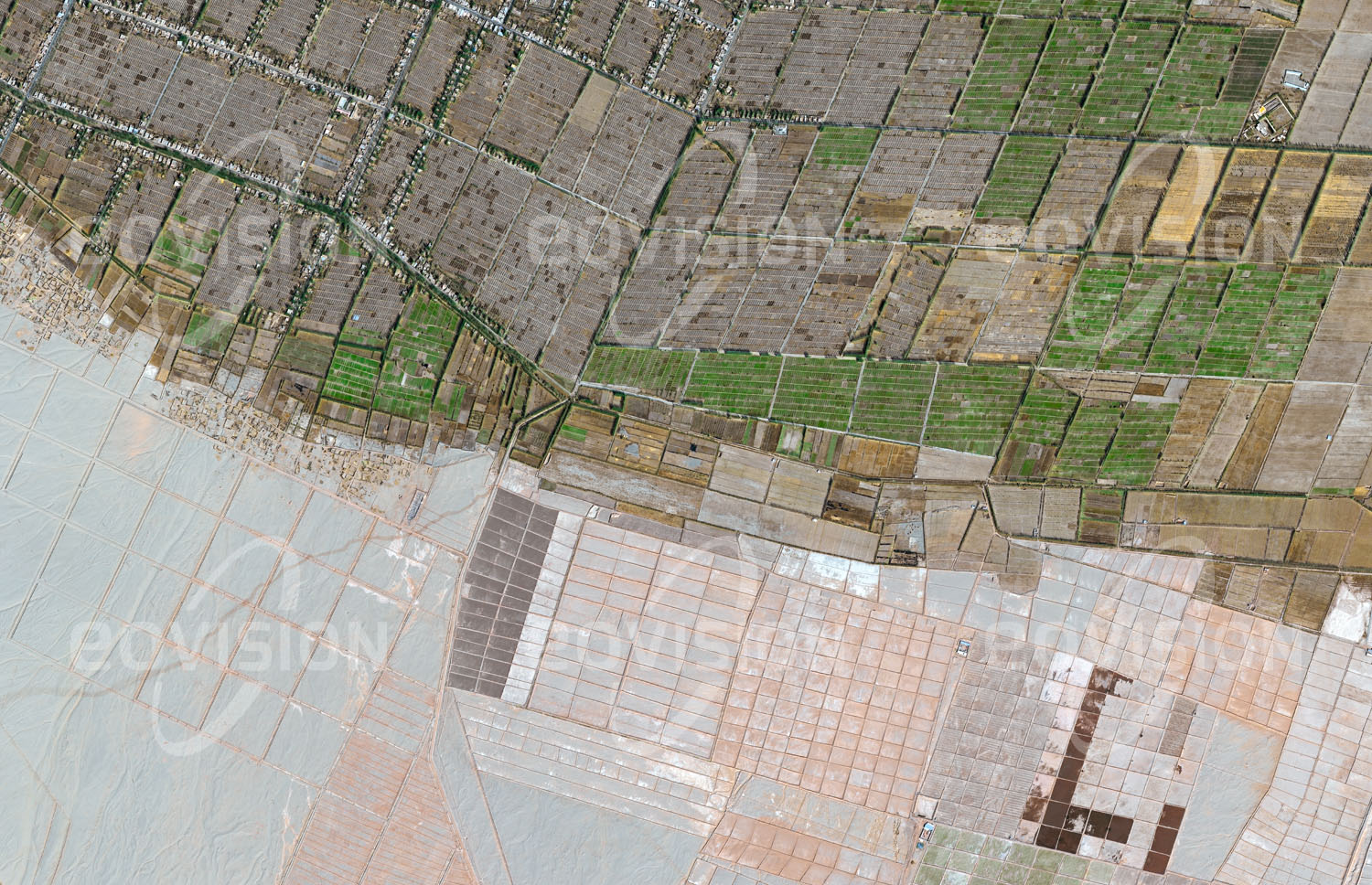 Das Satellitenbild 'KUMUBOYICUN, China' ist dem Bildband "Wüsten - Lebensraum der Extreme" entnommen. Am Südrand des Tarim-Beckens liegt zwischen dem Gebirgszug des Kunlun Shan und der Taklamakan eine Kette von Oasen. Diese befinden sich am Rand von Schwemmkegeln, die von den Flüssen aus dem Kunlun Shan gebildet wurden. Da hier ausreichend Wasser vorhanden ist, kann Landwirtschaft betrieben werden. Die Oasen waren wichtige Stützpunkte entlang des südlichen Zweiges der Seidenstraße.